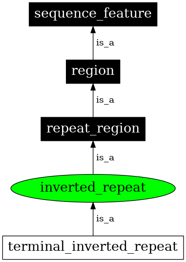 Graph image for SO:0000294