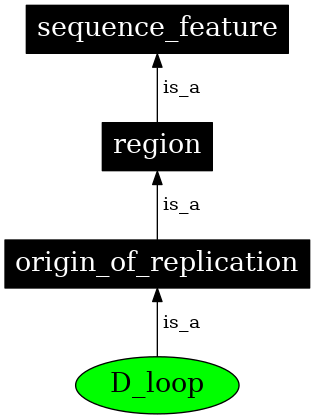 Graph image for SO:0000297