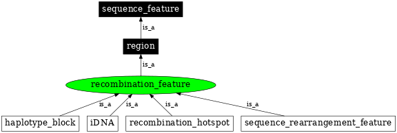 Graph image for SO:0000298