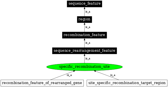 Graph image for SO:0000299