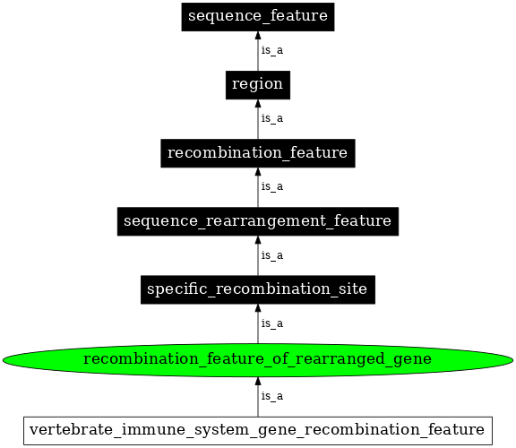 Graph image for SO:0000300