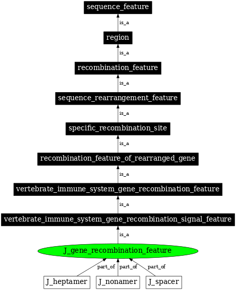 Graph image for SO:0000302