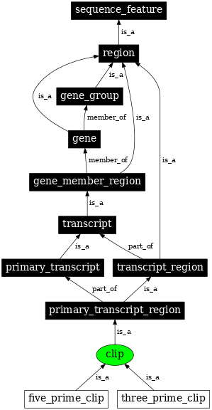 Graph image for SO:0000303
