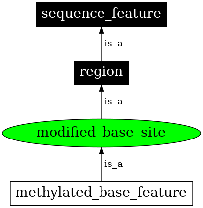 Graph image for SO:0000305