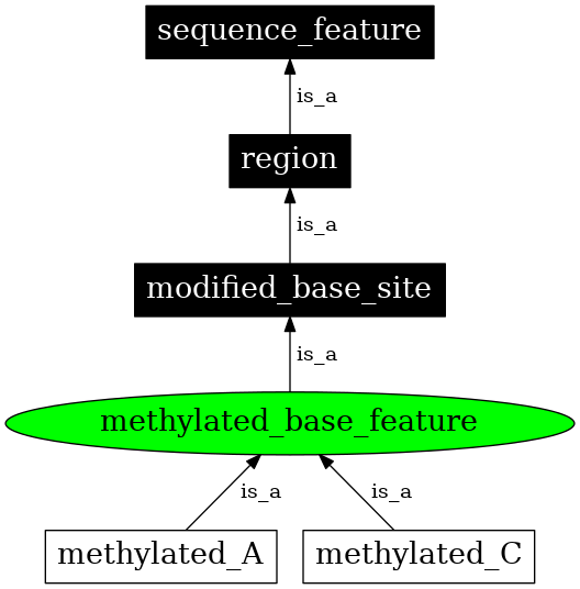 Graph image for SO:0000306