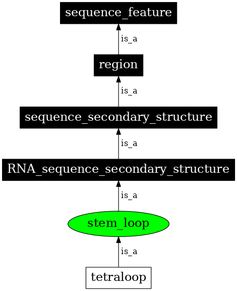Graph image for SO:0000313