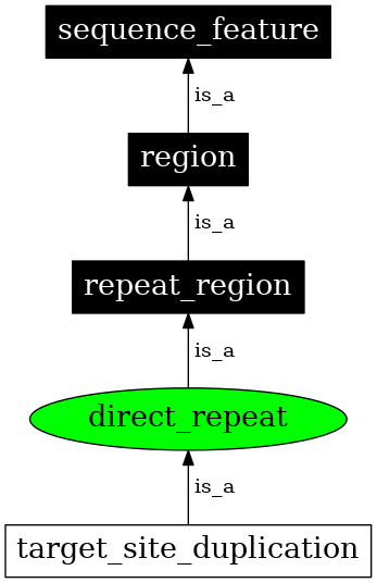 Graph image for SO:0000314