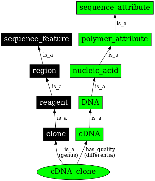 Graph image for SO:0000317