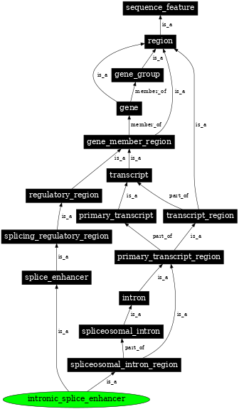 Graph image for SO:0000320