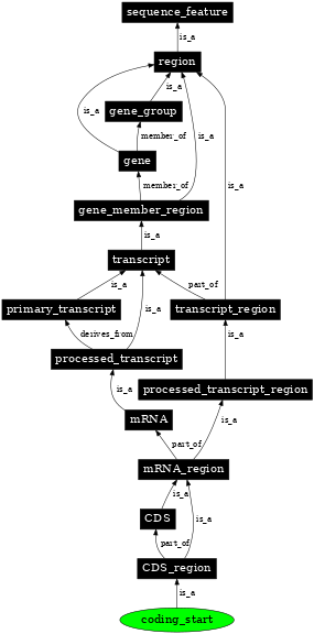Graph image for SO:0000323
