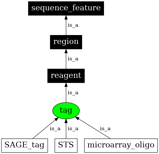 Graph image for SO:0000324