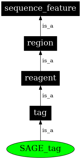 Graph image for SO:0000326