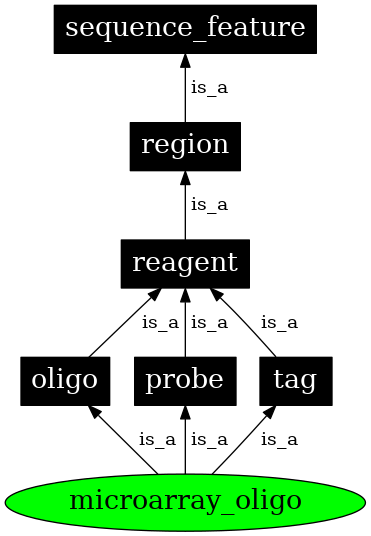 Graph image for SO:0000328