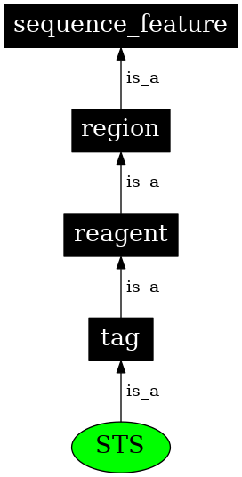 Graph image for SO:0000331