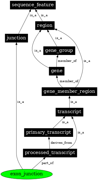Graph image for SO:0000333