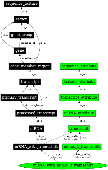 Graph image for SO:0000335