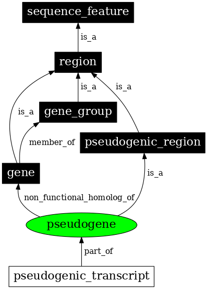 Graph image for SO:0000336