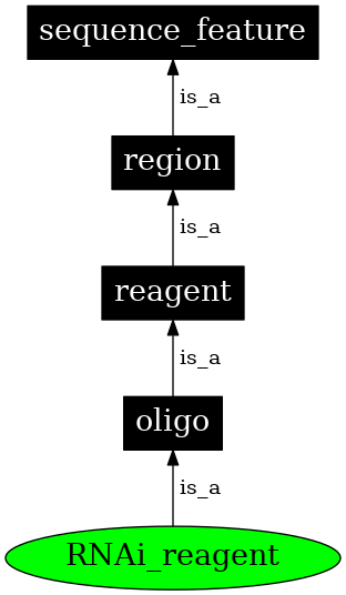 Graph image for SO:0000337