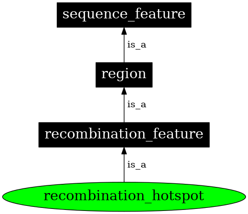 Graph image for SO:0000339