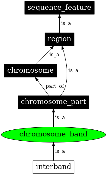 Graph image for SO:0000341