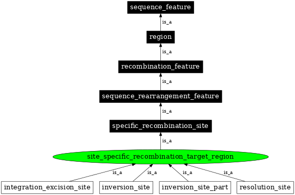 Graph image for SO:0000342