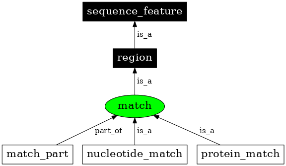 Graph image for SO:0000343