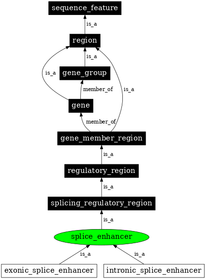 Graph image for SO:0000344