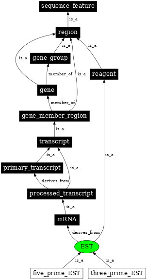 Graph image for SO:0000345