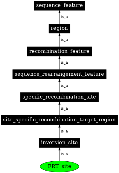 Graph image for SO:0000350