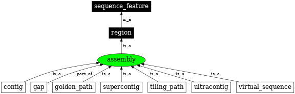 Graph image for SO:0000353