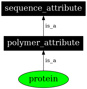 Graph image for SO:0000358