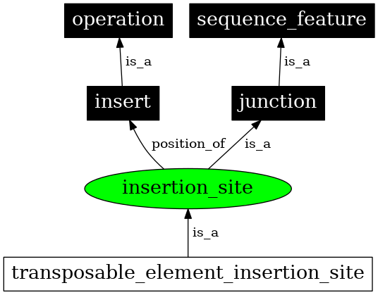 Graph image for SO:0000366