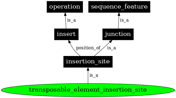 Graph image for SO:0000368