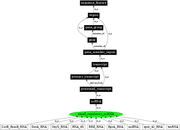 Graph image for SO:0000370