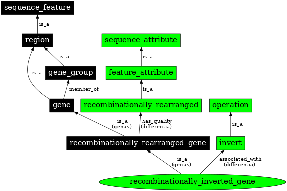 Graph image for SO:0000373