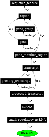 Graph image for SO:0000376