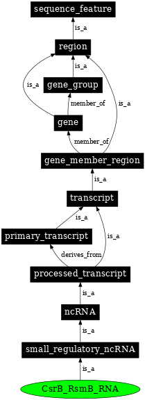 Graph image for SO:0000377