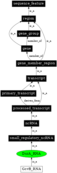 Graph image for SO:0000378