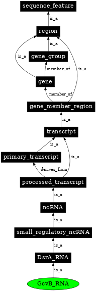 Graph image for SO:0000379