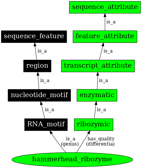 Graph image for SO:0000380