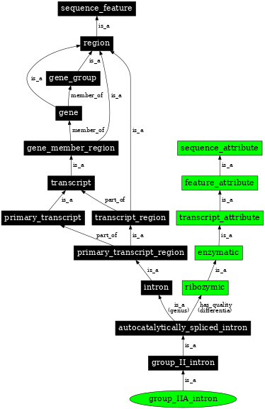 Graph image for SO:0000381