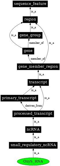 Graph image for SO:0000384