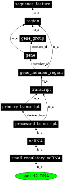Graph image for SO:0000389