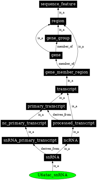 Graph image for SO:0000397