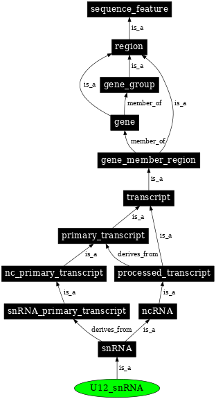 Graph image for SO:0000399