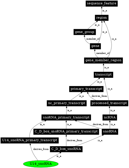 Graph image for SO:0000403