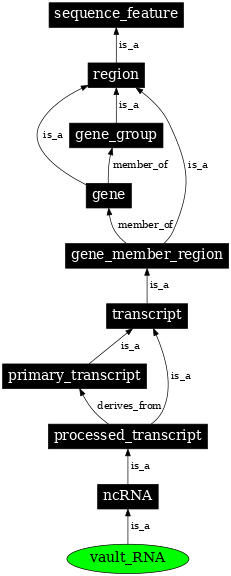Graph image for SO:0000404