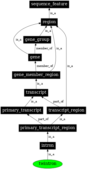 Graph image for SO:0000406