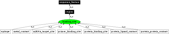 Graph image for SO:0000409