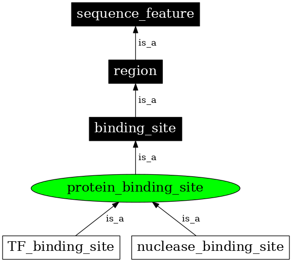 Graph image for SO:0000410